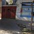 2 Schlafzimmer Villa zu verkaufen in Rosario, Santa Fe, Rosario