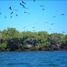  Land for sale in Angostura, Sinaloa, Angostura, Sinaloa