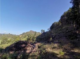  Terreno (Parcela) en venta en La Ceja, Antioquia, La Ceja