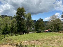  Land for sale in Rionegro, Antioquia, Rionegro