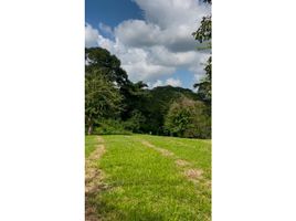  Land for sale in Bolivar, Turbaco, Bolivar