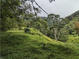  Terreno (Parcela) en venta en Granada, Antioquia, Granada