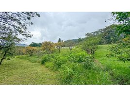  Land for sale in El Carmen De Viboral, Antioquia, El Carmen De Viboral