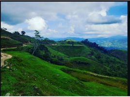  Land for sale in Guatape, Antioquia, Guatape