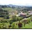  Land for sale in Marinilla, Antioquia, Marinilla