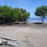  Land for sale in San Onofre, Sucre, San Onofre