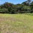  Land for sale in El Carmen De Viboral, Antioquia, El Carmen De Viboral