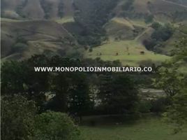  Terreno (Parcela) en venta en Santa Fe De Antioquia, Antioquia, Santa Fe De Antioquia