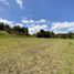 Terrain à vendre à Rionegro, Antioquia, Rionegro, Antioquia