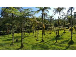  Land for sale in Pereira, Risaralda, Pereira