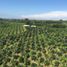 Studio Villa for sale in Montenegro, Quindio, Montenegro
