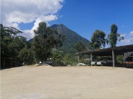  Terreno (Parcela) en venta en Fredonia, Antioquia, Fredonia