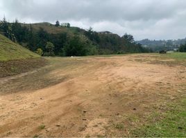  Grundstück zu verkaufen in Retiro, Antioquia, Retiro
