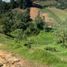Terrain à vendre à Marinilla, Antioquia, Marinilla