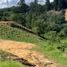 Terrain à vendre à Marinilla, Antioquia, Marinilla