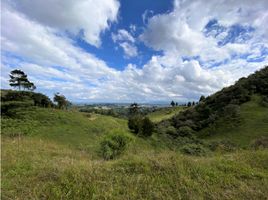  Terreno (Parcela) en venta en El Carmen De Viboral, Antioquia, El Carmen De Viboral