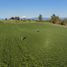  Terreno (Parcela) en venta en Chile, Entre Lagos, Osorno, Los Lagos, Chile