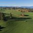 Terreno (Parcela) en venta en Chile, Entre Lagos, Osorno, Los Lagos, Chile