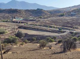  Terreno (Parcela) en venta en Chacabuco, Santiago, Colina, Chacabuco
