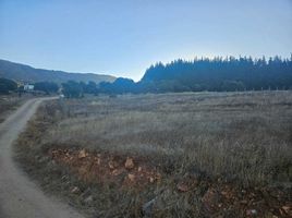  Terreno (Parcela) en venta en Chile, Santa Cruz, Colchagua, Libertador General Bernardo O'Higgins, Chile
