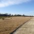  Terreno (Parcela) en venta en Chile, Litueche, Cardenal Caro, Libertador General Bernardo O'Higgins, Chile
