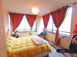 2 Habitación Apartamento en venta en Chile, Valparaiso, Valparaíso, Valparaíso, Chile
