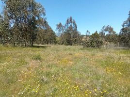  Terreno (Parcela) en venta en Chile, El Quisco, San Antonio, Valparaíso, Chile