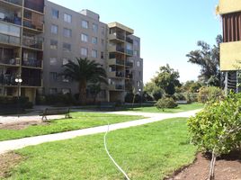 3 chambre Appartement for sale in Santiago, Santiago, Santiago, Santiago