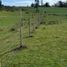  Terreno (Parcela) en venta en Chile, La Unión, Ranco, Los Ríos, Chile