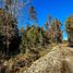  Terreno (Parcela) en venta en Chile, Villarrica, Cautín, Araucanía, Chile