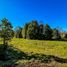  Terreno (Parcela) en venta en Chile, Villarrica, Cautín, Araucanía, Chile