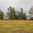  Terreno (Parcela) en venta en Chile, Teodoro Schmidt, Cautín, Araucanía, Chile