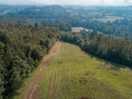  Terreno (Parcela) en venta en Chile, Teodoro Schmidt, Cautín, Araucanía, Chile