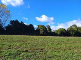  Terreno (Parcela) en venta en Chile, Temuco, Cautín, Araucanía, Chile
