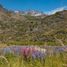  Terreno (Parcela) en venta en Chile, Coihaique, Coihaique, Aisén del General Carlos Ibáñez del Campo, Chile