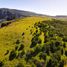  Terreno (Parcela) en venta en Chile, Coihaique, Coihaique, Aisén del General Carlos Ibáñez del Campo, Chile