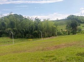  Terreno (Parcela) en venta en Risaralda, Caldas, Risaralda