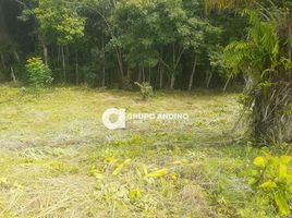  Terrain for sale in Quebrada Las Gachas, Guadalupe, Guadalupe