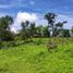  Land for sale in Minatitlan, Colima, Minatitlan