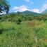  Land for sale in Minatitlan, Colima, Minatitlan