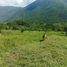 Land for sale in Minatitlan, Colima, Minatitlan