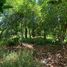  Land for sale in Chile, Quillota, Quillota, Valparaiso, Chile