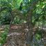  Land for sale in Chile, Quillota, Quillota, Valparaiso, Chile