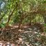  Land for sale in Chile, Quillota, Quillota, Valparaiso, Chile