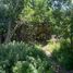  Land for sale in Chile, Quillota, Quillota, Valparaiso, Chile