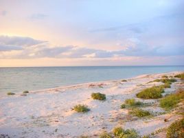 Terrain à vendre à Chicxulub Pueblo, Yucatan, Chicxulub Pueblo