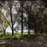  Terreno (Parcela) en venta en Huimilpan, Querétaro, Huimilpan