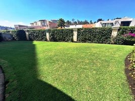 3 Schlafzimmer Appartement zu verkaufen in Naucalpan De Juarez, Mexico, Naucalpan De Juarez