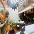 4 Habitación Departamento en venta en Coyoacan, Ciudad de México, Coyoacan