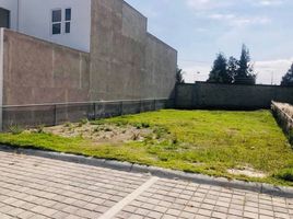  Grundstück zu verkaufen in Santa Isabel Cholula, Puebla, Santa Isabel Cholula